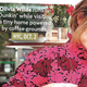 Illustration for article titled This Week in Tabloids: Shes Fucking Pregnant!!!